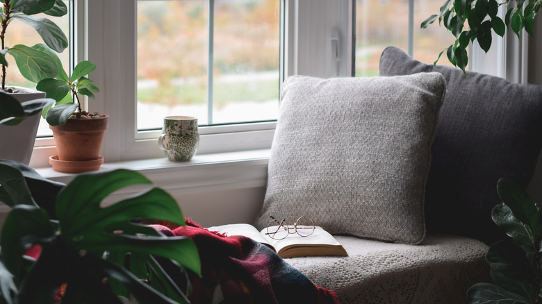 A cushioned bench beneath a window is surrounded by plants and is perfect for reading.