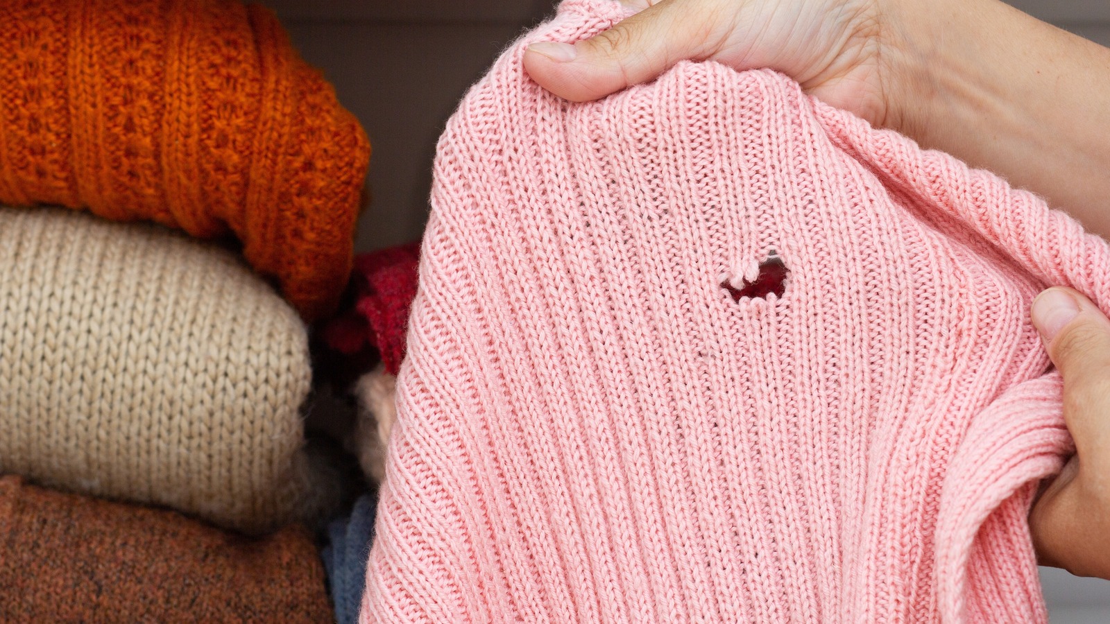 The Spices You ll Want In Your Closet To Keep Moths Out