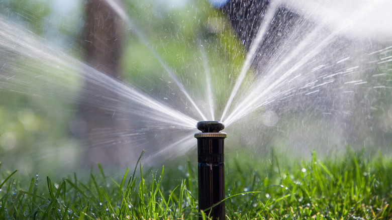 Sprinkler going off in a yard