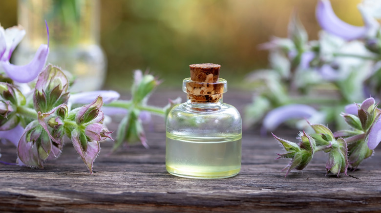 Clary sage flowers lying on a table around a bottle of clary sage essential oil.