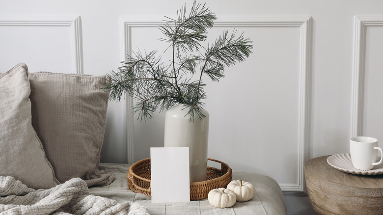 Pine branches displayed in vase