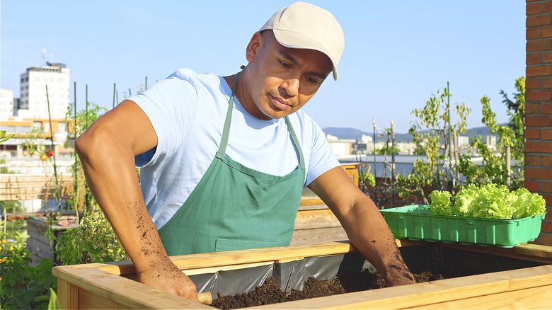 Person planting in wood planter