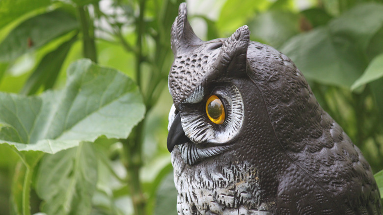 owl decoy for scaring birds