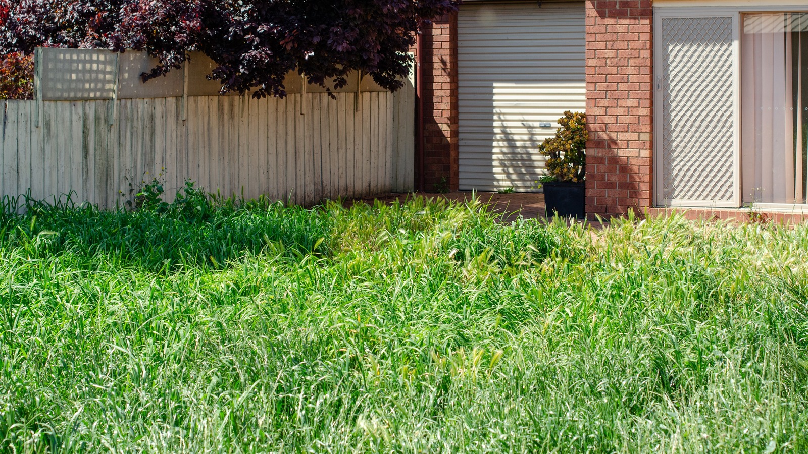 The Stihl Weed Trimmer Tool That'll Whack Weeds Right Out Of Your Lawn