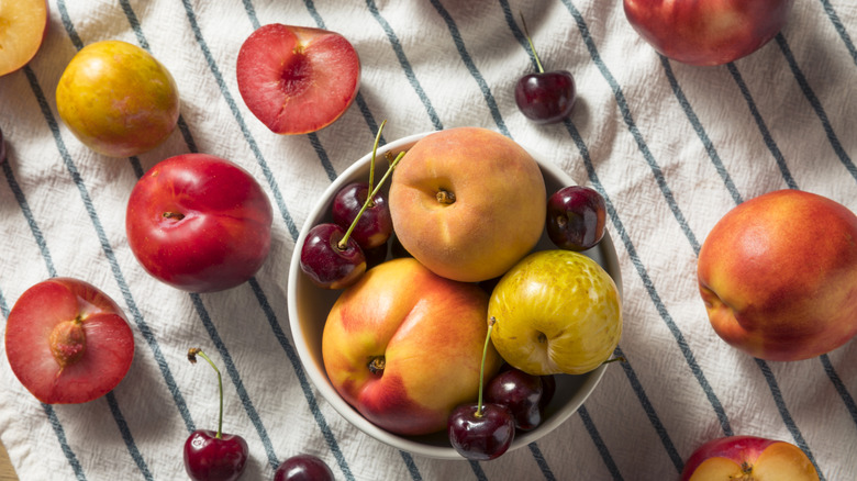 Assorted Stone fruit - Peaches, cherries, Plums and Nectarines