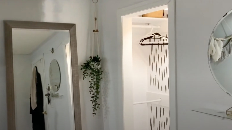 painted wall in bedroom closet