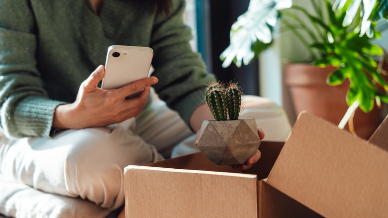 Closeup of woman putting a small plant in a box