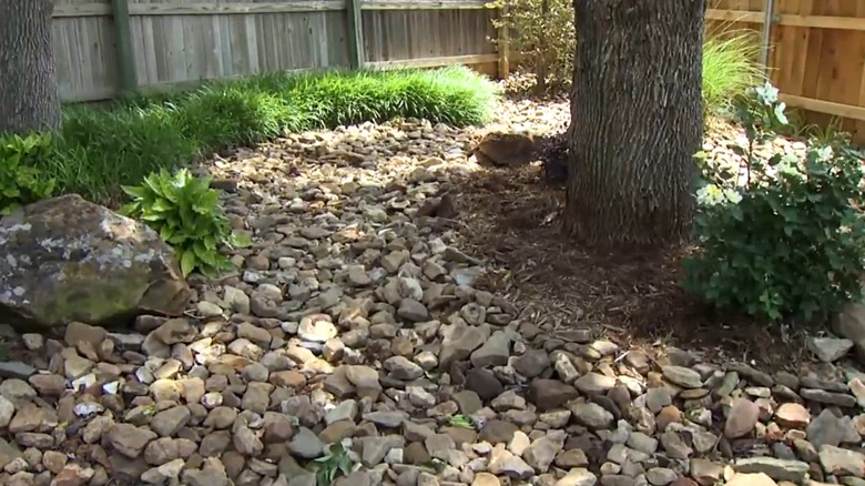 A dry creek bed in a backyard