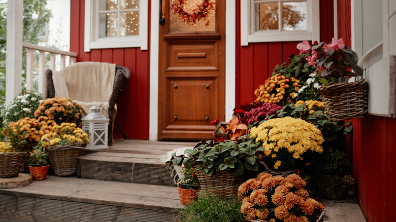 A porch is decorated for autumn with mums and other plants.
