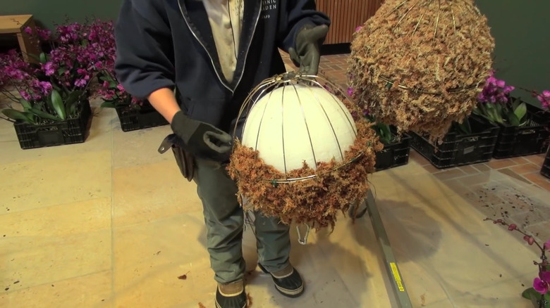 A woman shows how to create a spherical orchid display