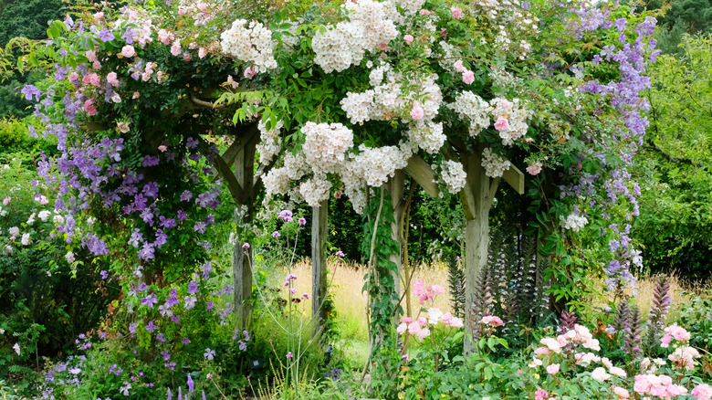 Trellis garden