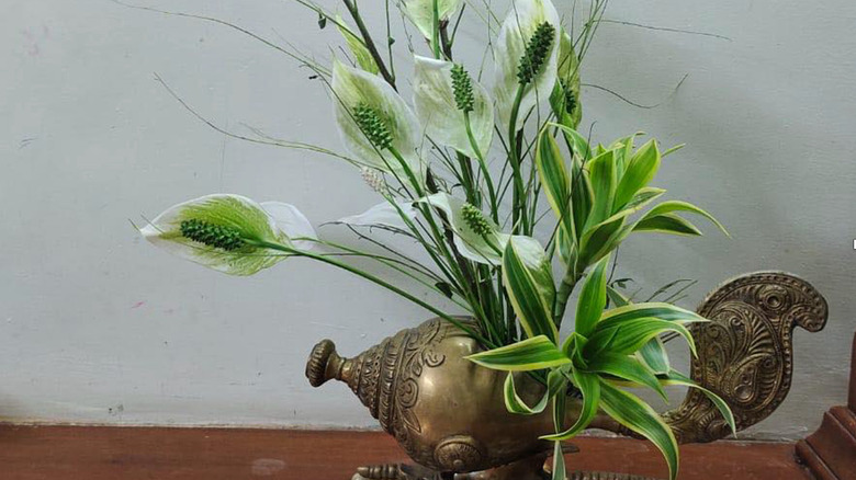 An ikebana arrangement made with peace lilies, curry leaves, and song of India (Dracaena).