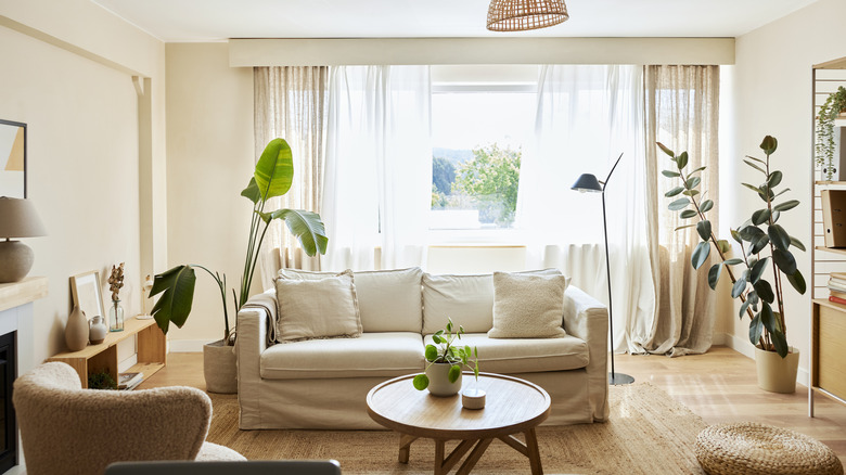 Living room with lots of plants and light