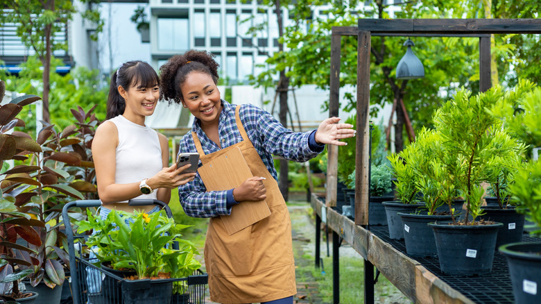 A woman consults with a nursery staff member on which tree to choose.