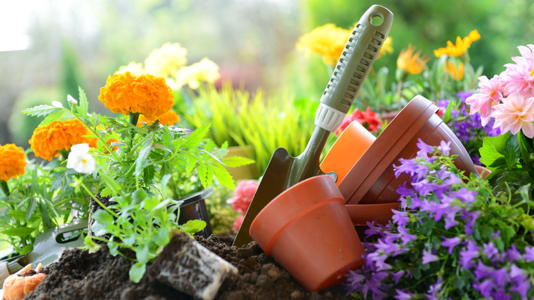 pot and shovel in spring garden