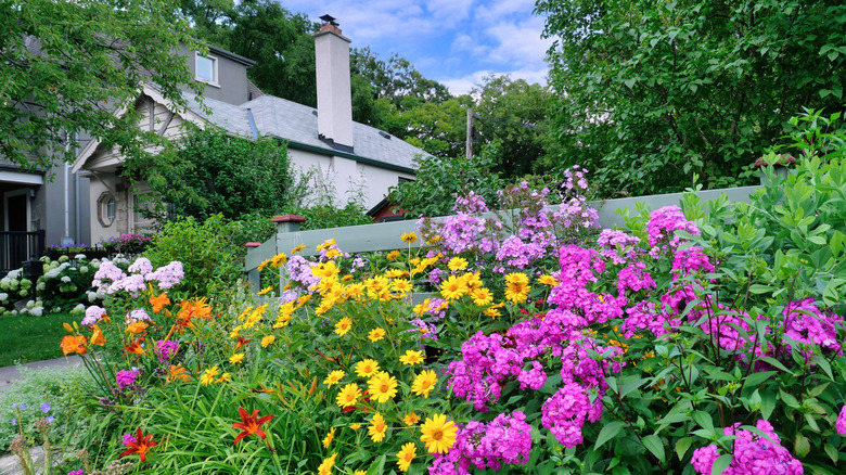 Nice house with a high-maintenance garden full of colorful flowers