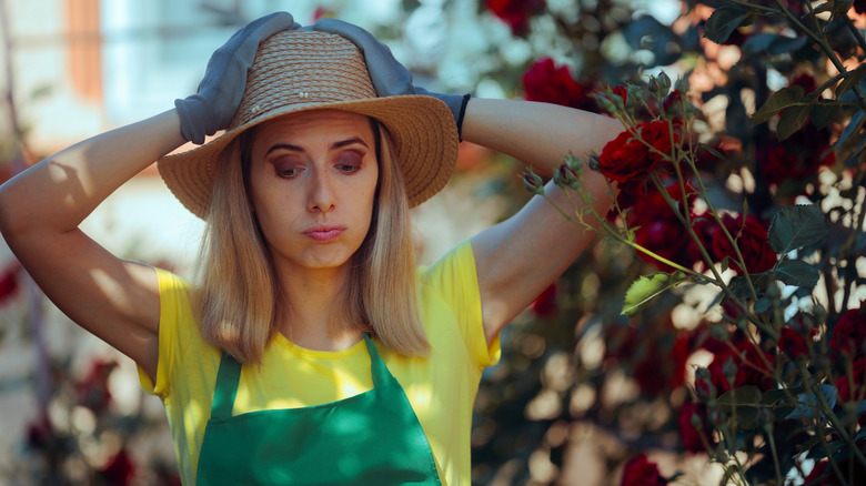 Gardener wearing a straw hat and gloves looking overwhelmed by gardening with her hands on her head