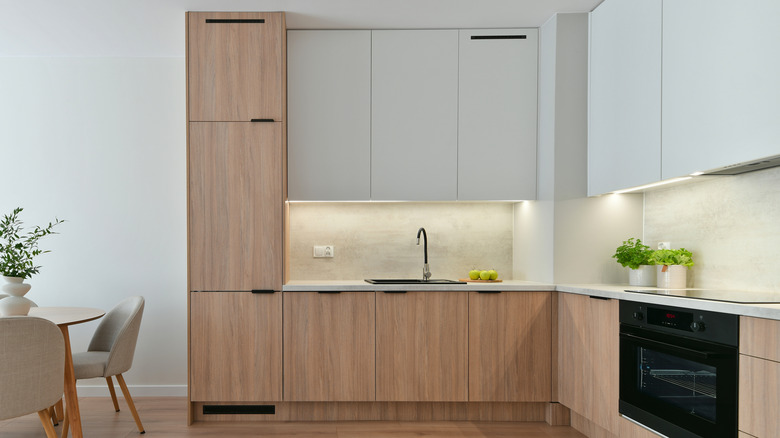 Kitchen featuring sleek cabinets, white oak cabinets