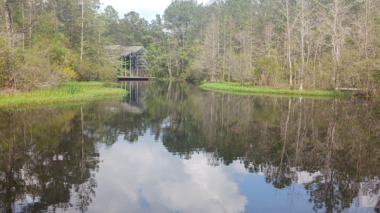 Pinecote Pavilion surrounded by trees with lake in foreground
