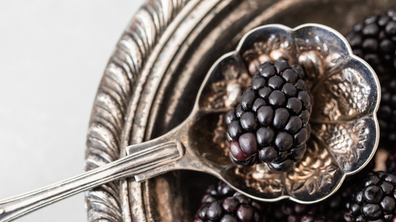 A vintage spoon scooping a blackberry