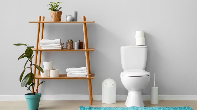 toilet paper on shelf and toilet