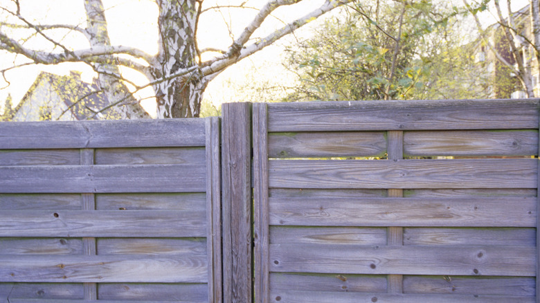 A wooden horizontal fence with trees and sky in the background.
