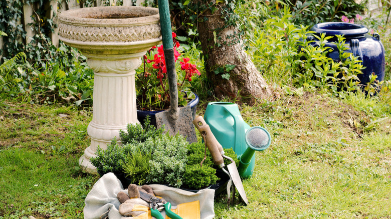 An old stone birdbath next to some gardening supplies