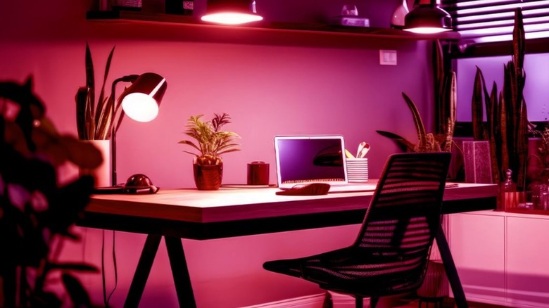 Pink light bulbs in office space with plants and desks