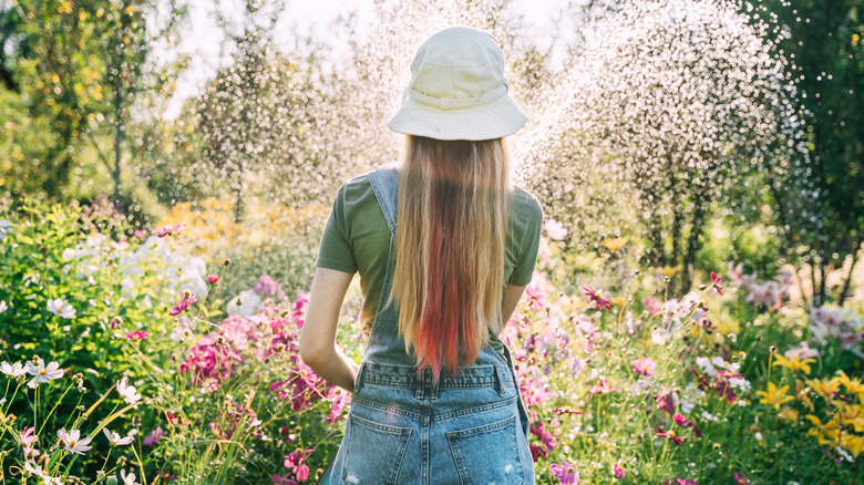 Someone watering flowers in the sun