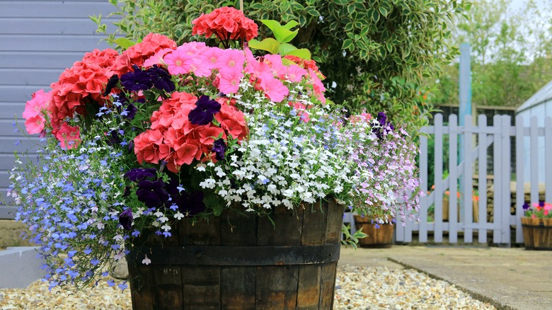 A large planter filled with lots of brightly colored flowering plants