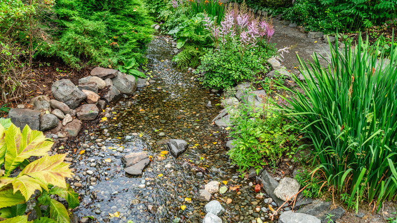 A lovely rain garden in a backyard with a small stream running thought it, which is surrounded by green foliage plants and flowers