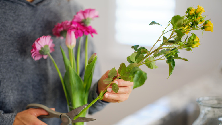 Person cutting flowers to display in an indoor floral arrangement