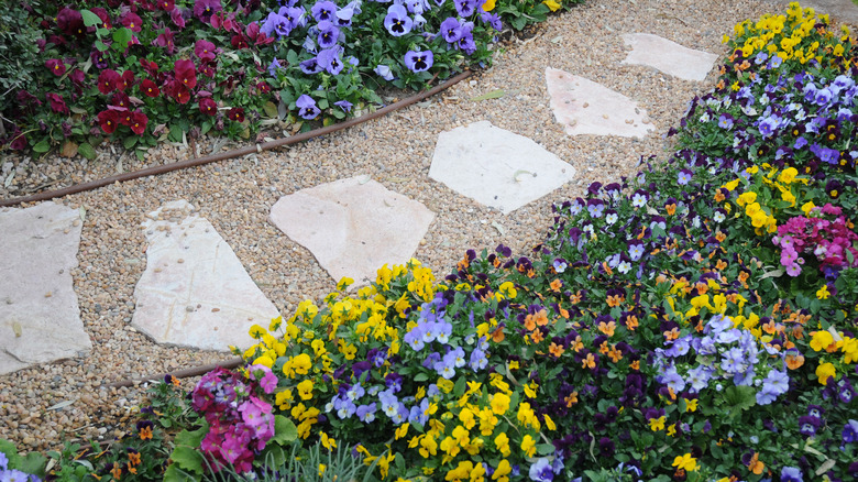 A weed-free gravel path surrounded by colorful flowers