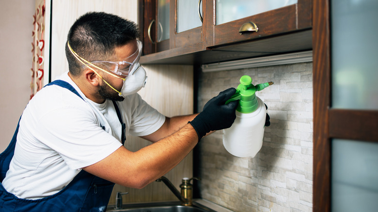 man spraying termites