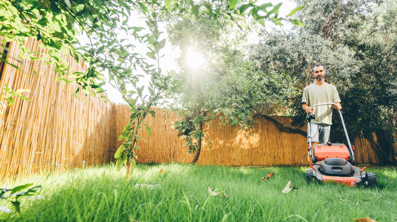 How to Mow Lawn Without Pollution: Eco-Friendly Tips for Clean Greenyards