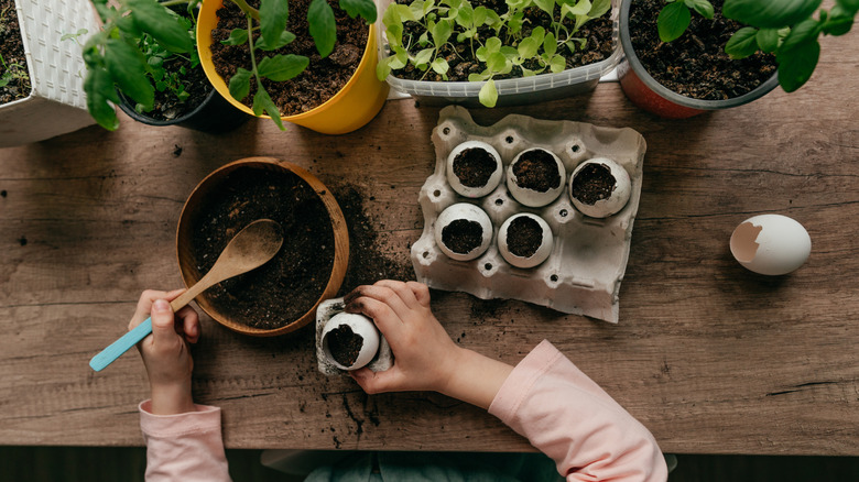 Child filling eggshells with soil surrounded by plants in pots