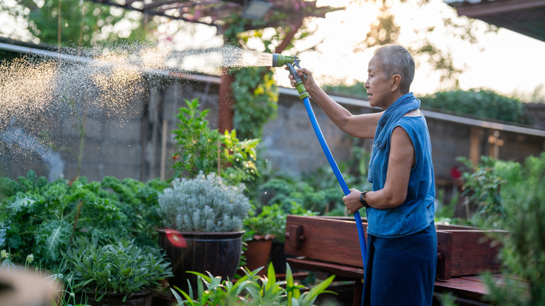 Woman watering a container garden with a hose