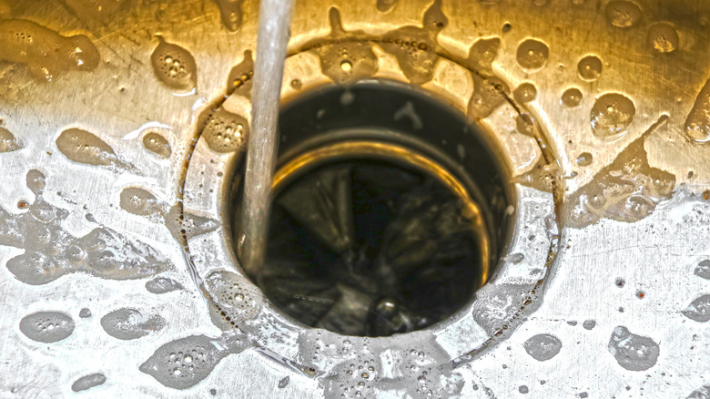 Water and soap suds running down the garbage disposal opening.