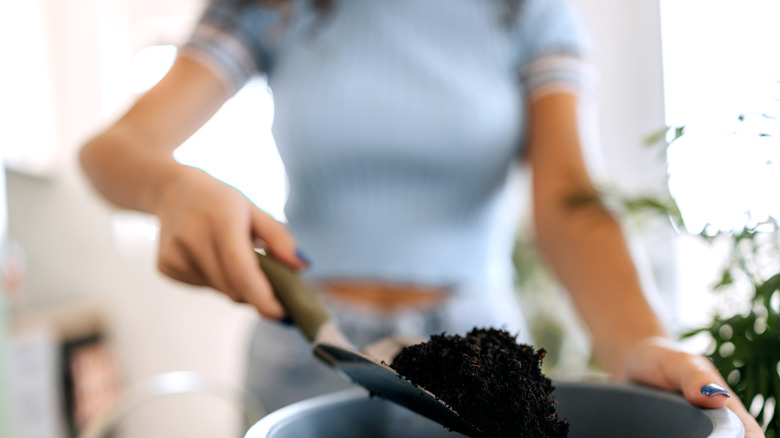 Close up of woman pouring potting soil into pot