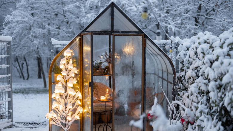 vintage lit-up greenhouse in winter