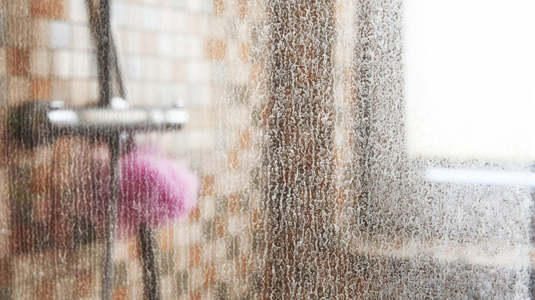 A shower pouf looks blurry through a cloudy glass door