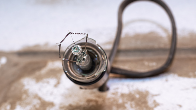 Broken light bulb in socket