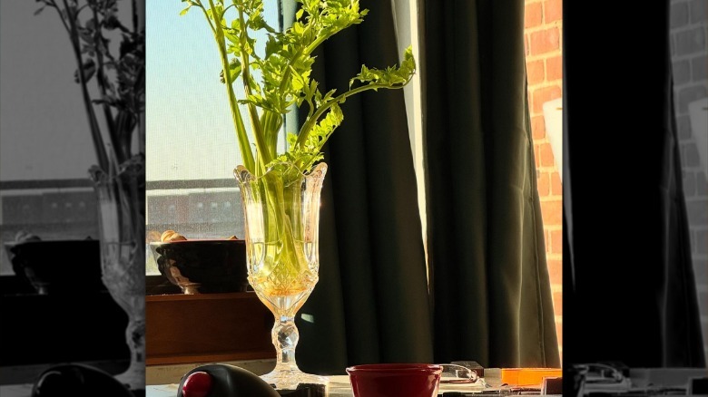 A vintage celery vase holding celery stalks near a window