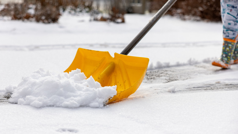 Pushing snow in driveway with yellow shovel