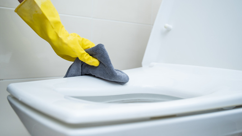 Person cleaning toilet seat