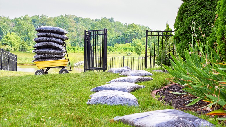 Bags of mulch on lawn