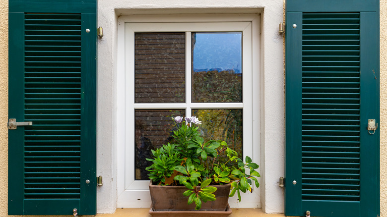 A single window with white trim is set into a yellow stucco wall. The window is framed by green wooden shutters on each side.