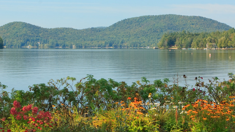 Lake and mountains with wildflowers in the foreground