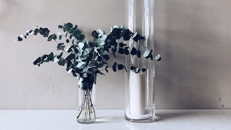 glass vase