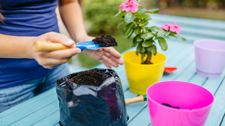 woman amending potting soil
